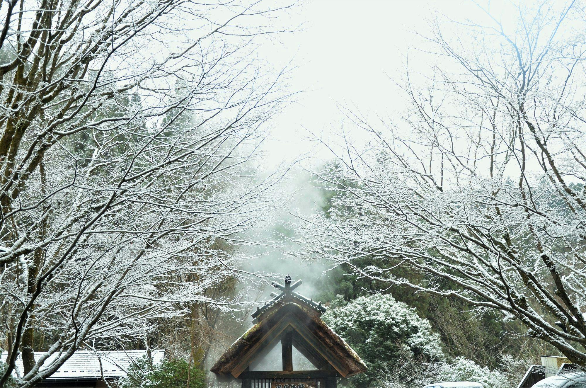 黒川温泉　旅館　奥の湯
