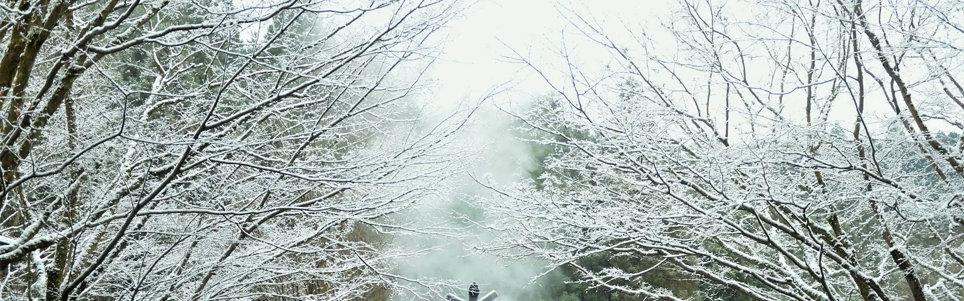 黒川温泉 旅館 奥の湯