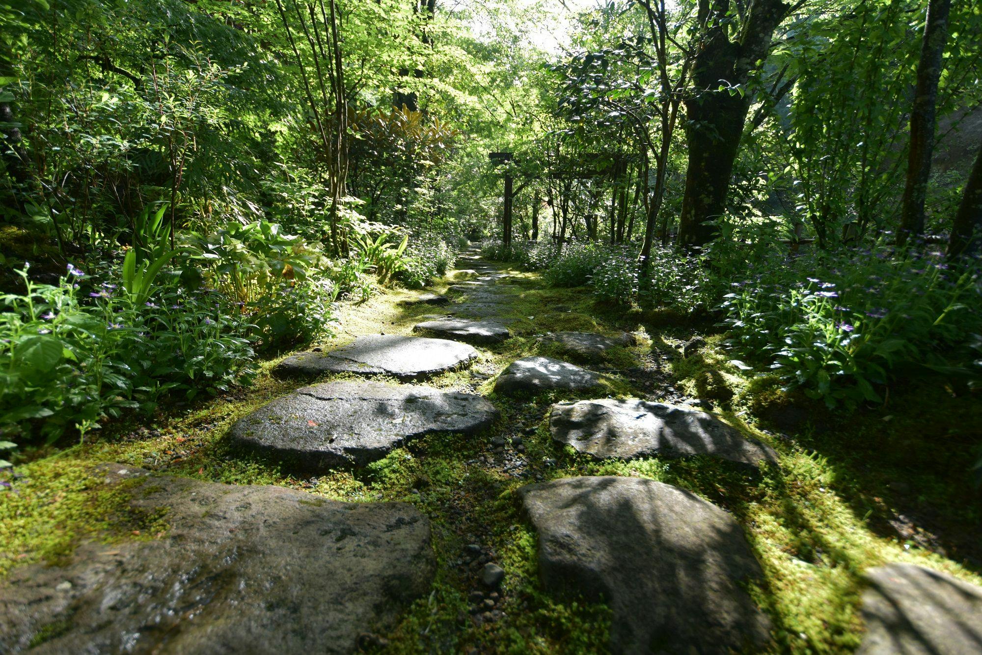 黒川温泉　旅館　奥の湯