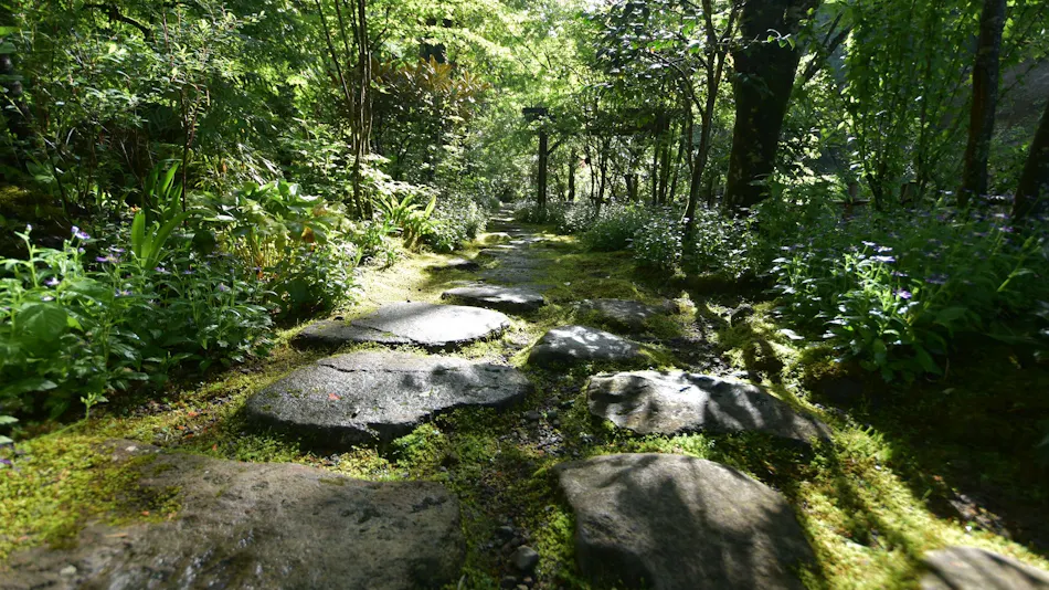 Kurokawa Onsen Ryokan Okunoyu