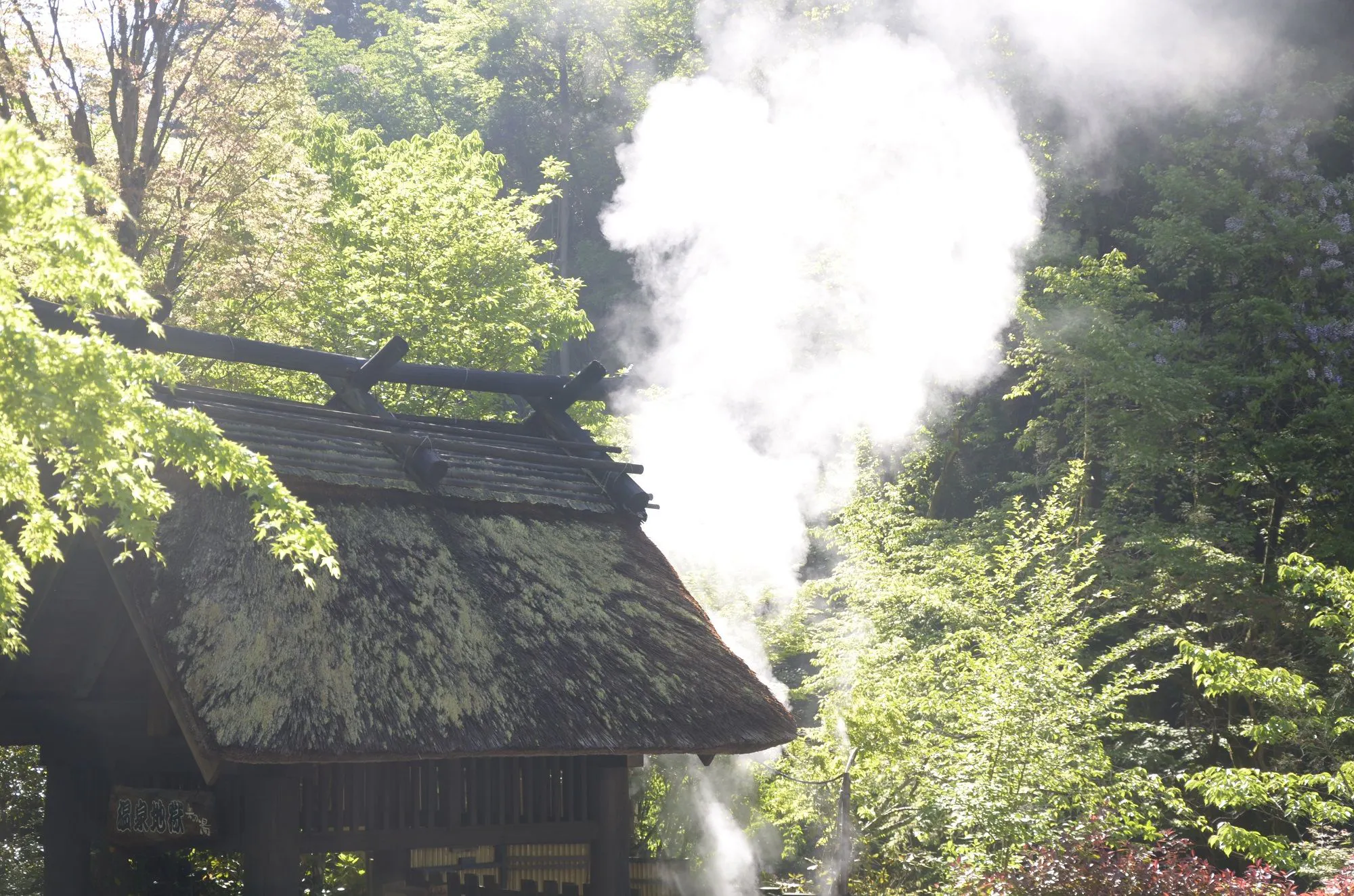 温泉の蒸気