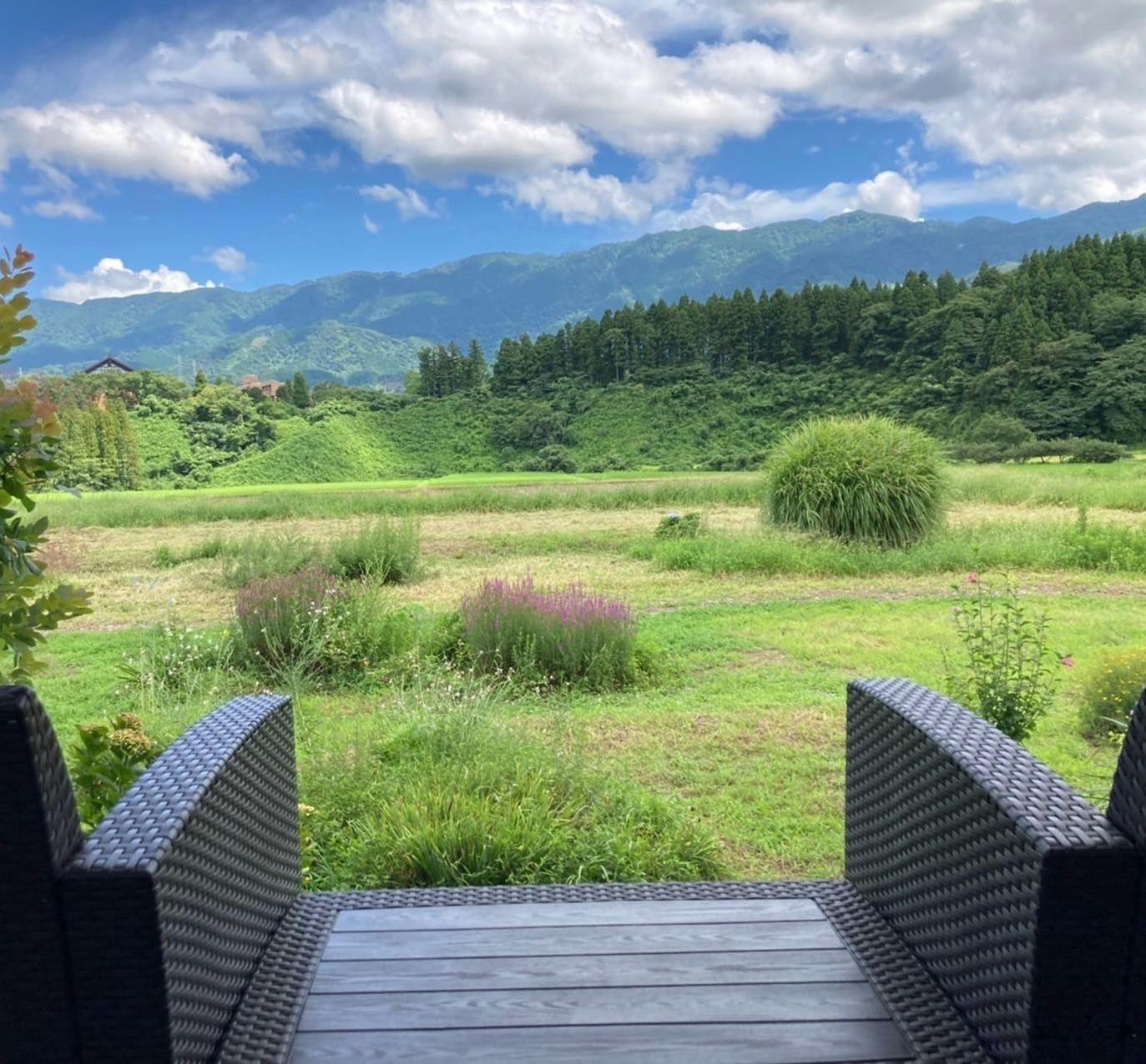 ทิวทัศน์