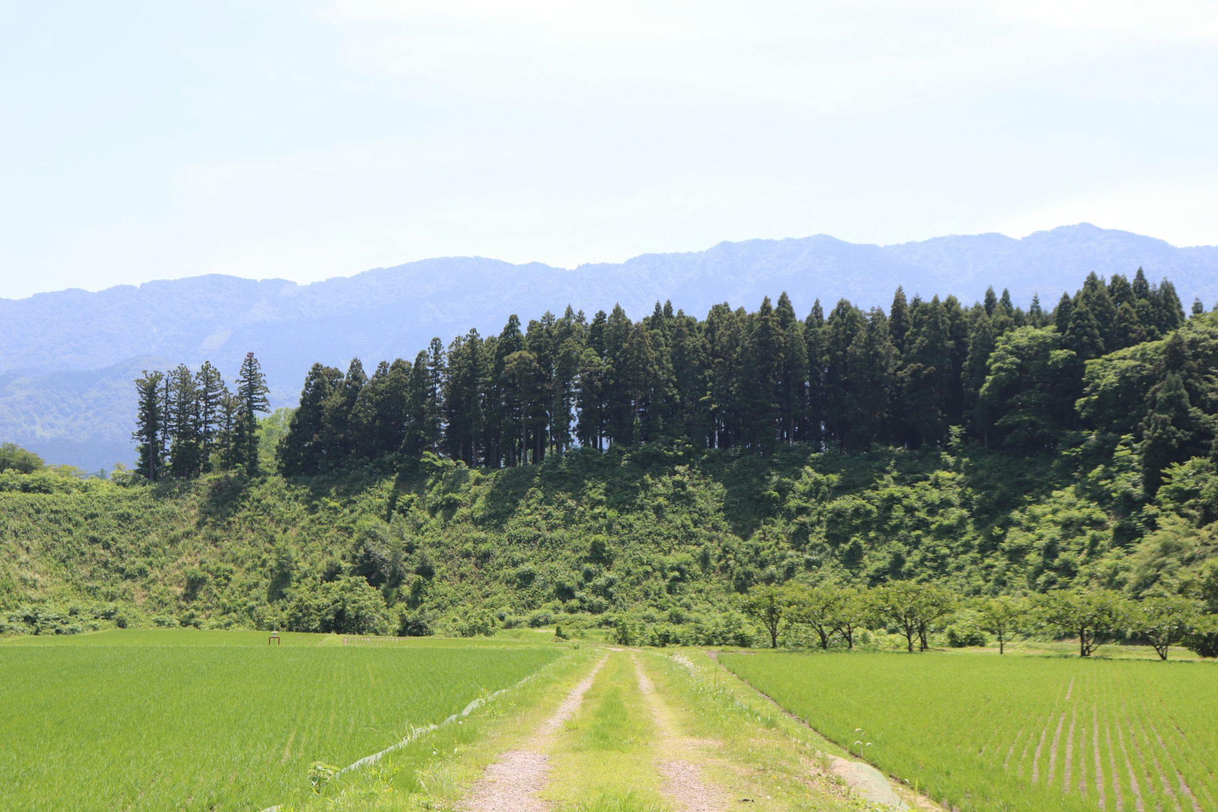 里山のオーベルジュ　薪の音