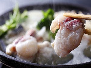 ぷりっぷりの食感は王者とらふぐならでは