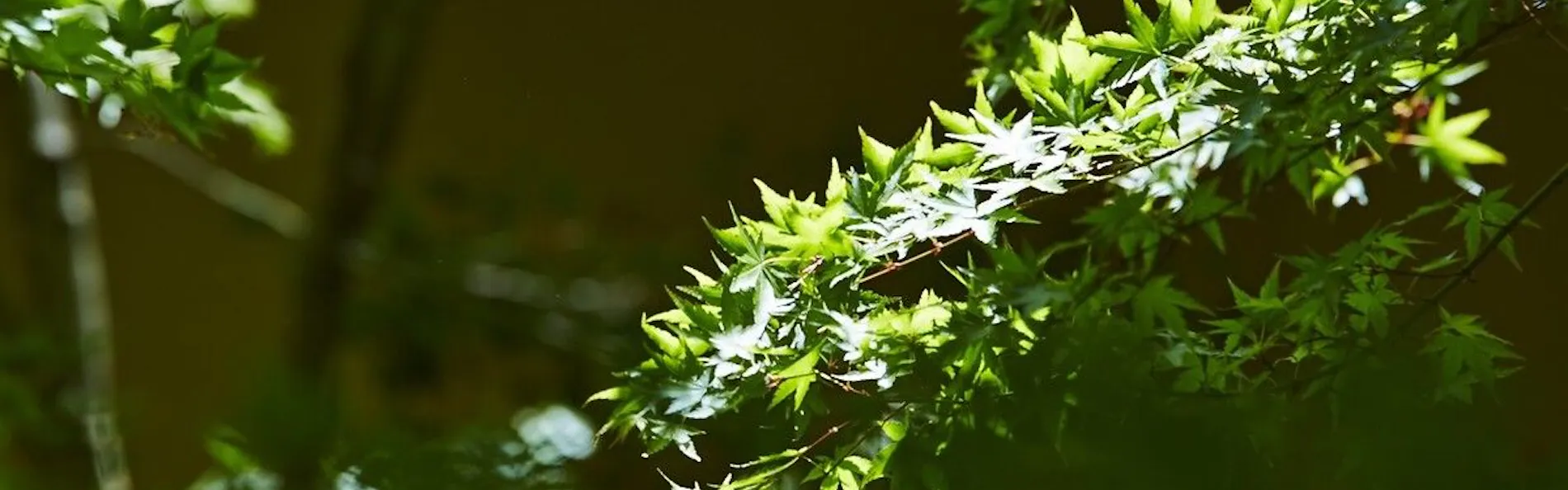 お宿 なごみ野