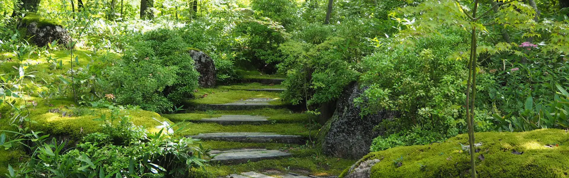 お宿 なごみ野
