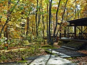 お宿 なごみ野