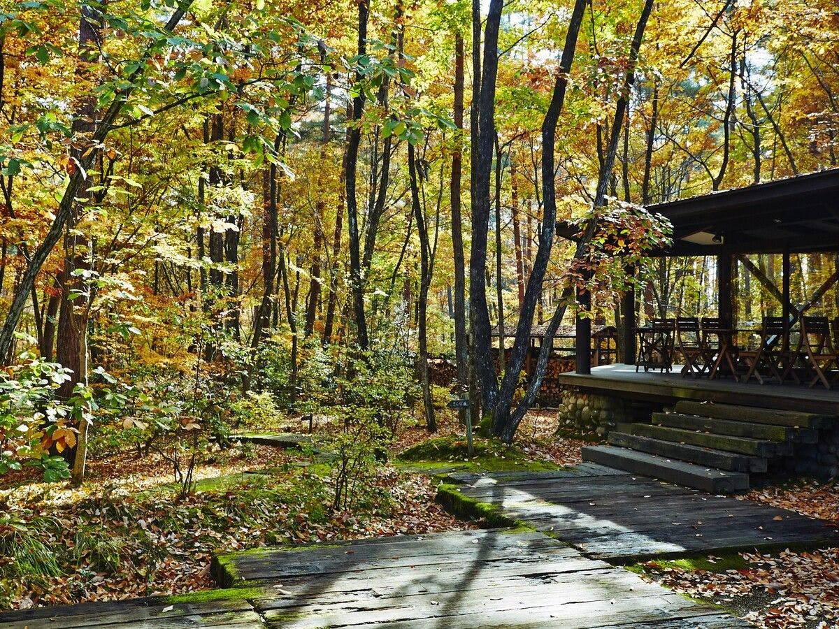 お宿　なごみ野