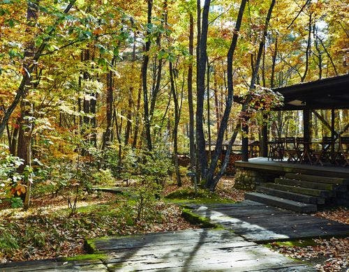 ーImageー秋の木枯らしで