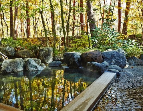 お宿なごみ野 by null