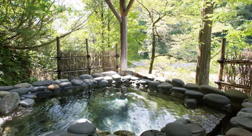 【60歳以上】【平日限定】のんびり気ままな大人旅!お得な悠々プラン【1泊3食】
