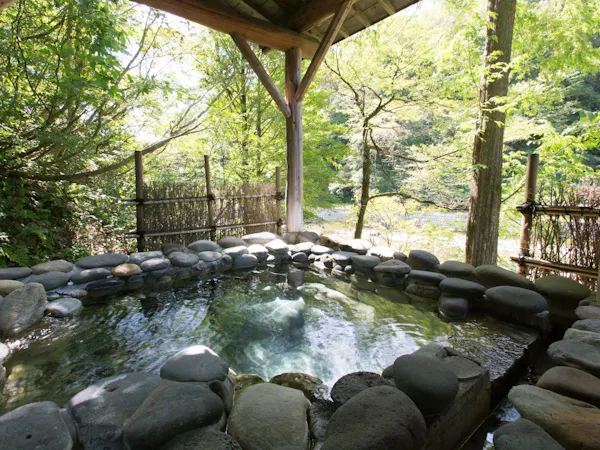 【60歳以上】【平日限定】のんびり気ままな大人旅!お得な悠々プラン【1泊3食】