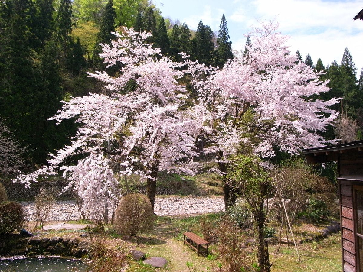 妙湶和樂　嵐渓荘