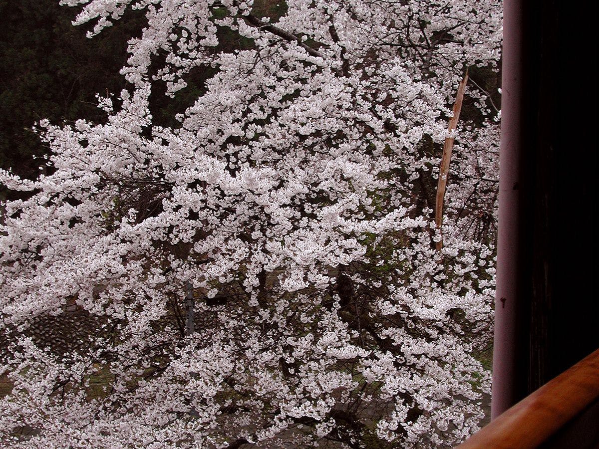 妙湶和樂　嵐渓荘