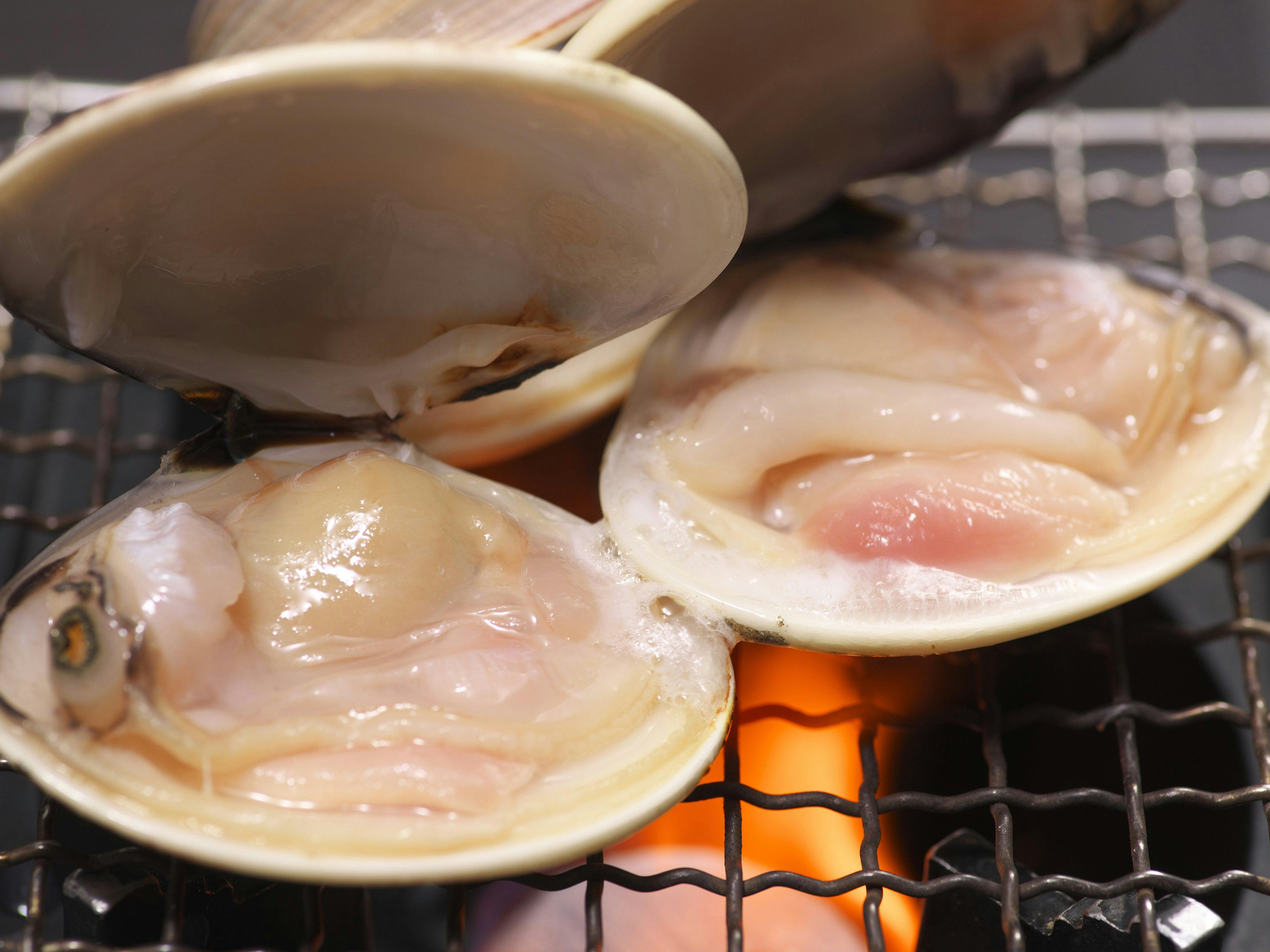 蓬莱屋旅館