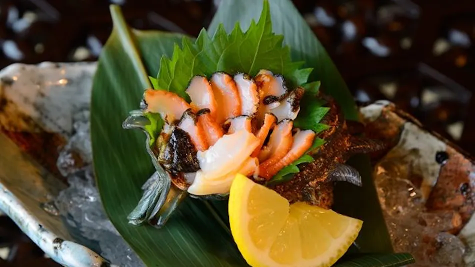 Kinnotake Sengokuhara (Adult Only)