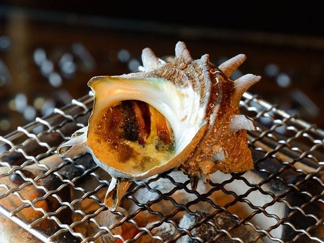 หอยสังข์ย่าง