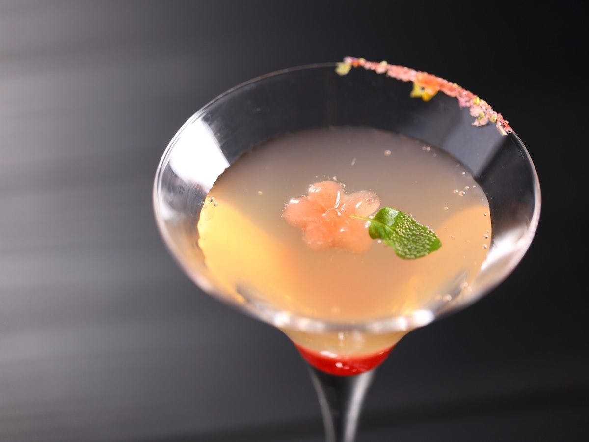 【春季菜單】餐前酒