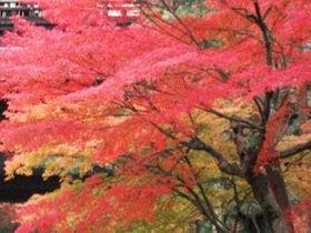 ホテル長楽館