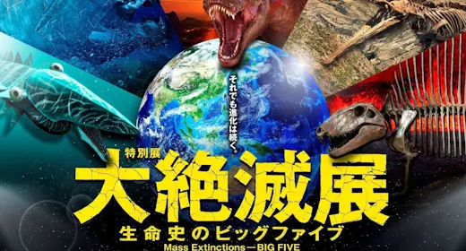 夏休み・秋の思い出に!特別展「大絶滅展」誰とでも楽しめるチケット付(親子・カップル・お一人様も歓迎)