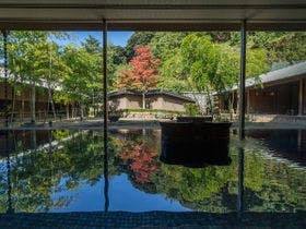 わんちゃんと泊まれる宿　旅館本陣