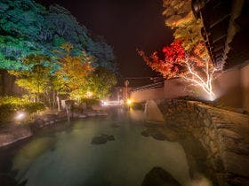 わんちゃんと泊まれる宿　旅館本陣