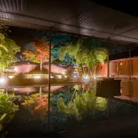 Illumination of Autumn Leaves Hot Spring