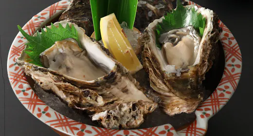 【旬の岩牡蠣付】朝夕個室で手づくりできたて料理~源泉かけ流し大浴場&貸切風呂計9カ所無料湯めぐり