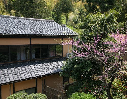 客室からの庭園の眺め