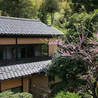 客室からの庭園の眺め