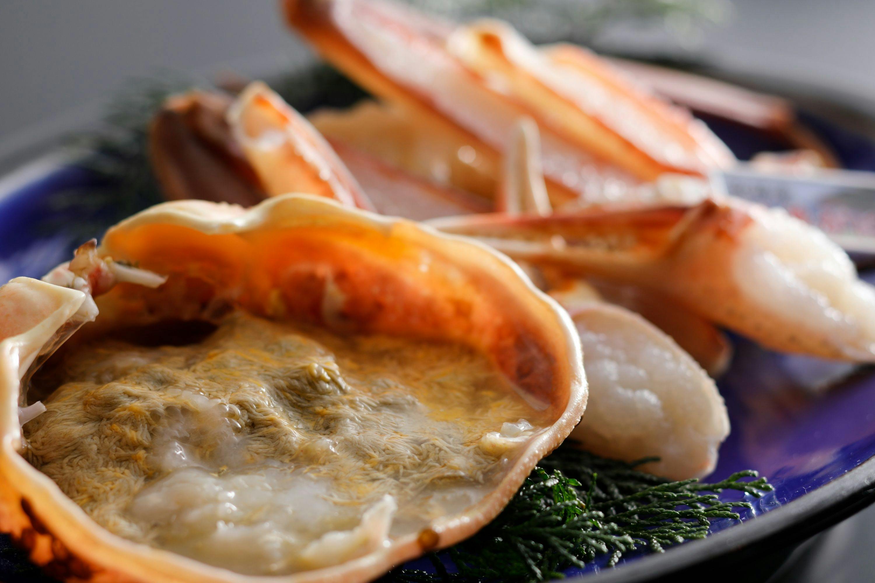 【優雅】客室で愉しむプライベート温泉。活松葉蟹を造里と炭火焼きで〇活松葉蟹付き蟹会席＜H5＞