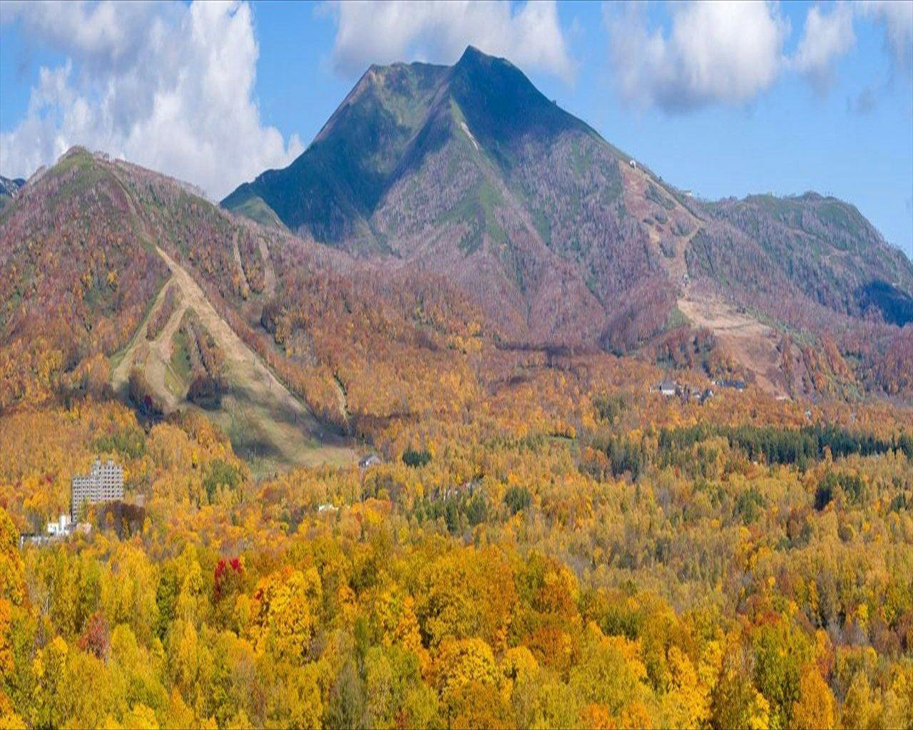 ワンニセコリゾートタワーズ（ONE NISEKO RESORT TOWERS）