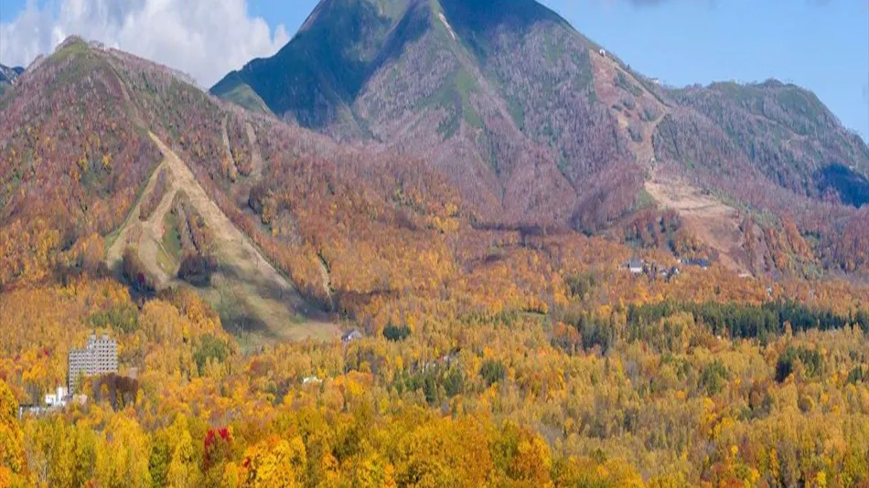 ONE NISEKO RESORT TOWERS