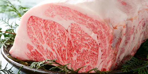 由布の彩 YADOYA おおはし
