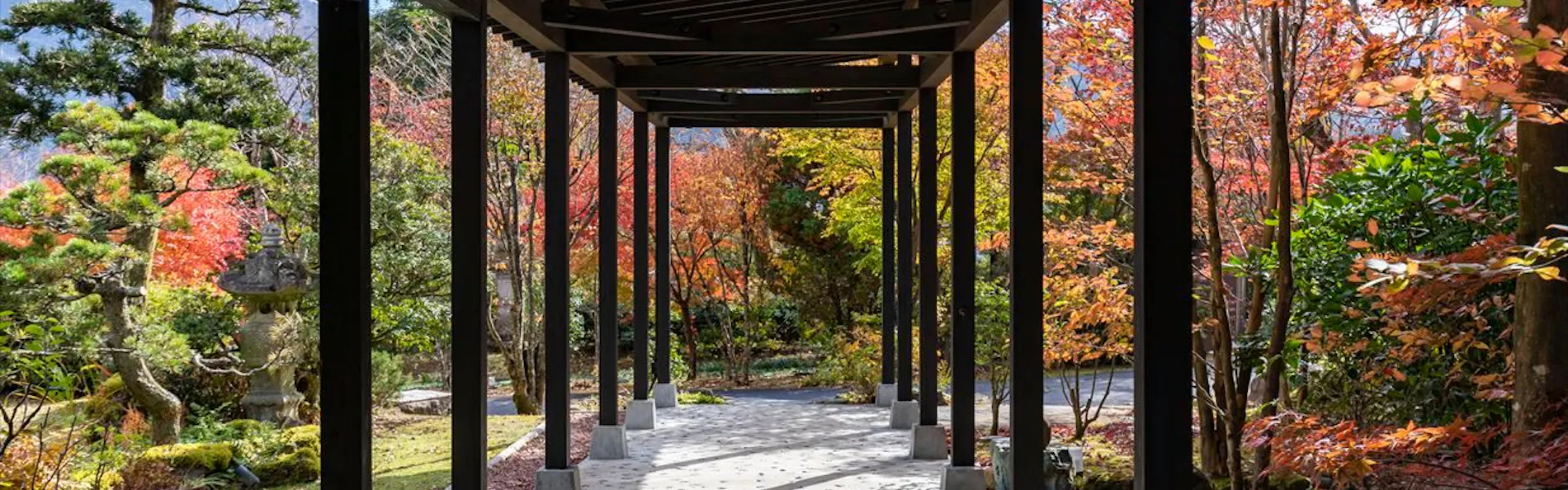 由布の彩 YADOYA おおはし