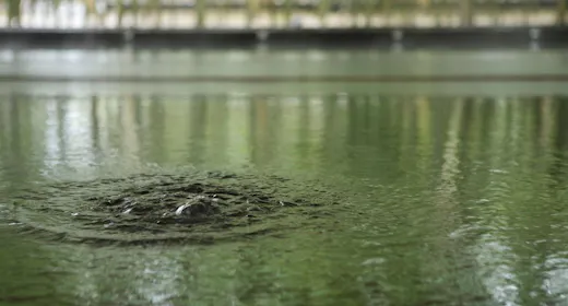 【素泊り】源泉掛け流し天然温泉「美人の湯」として愛される良質な湯を満喫