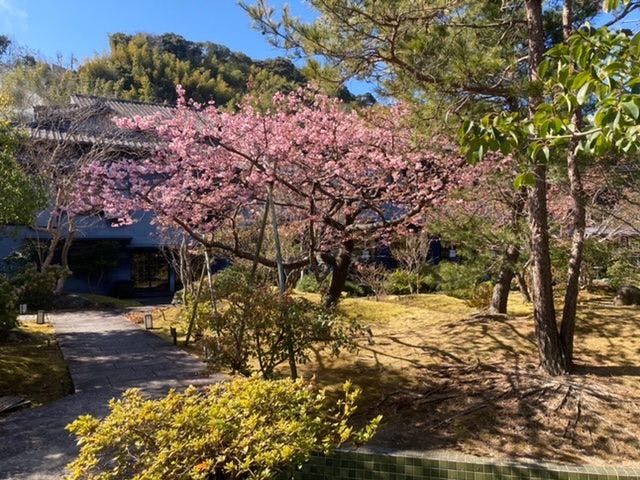 玉峰館