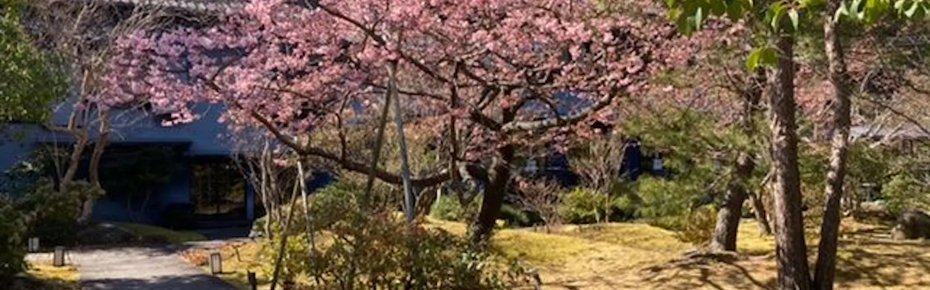 玉峰館