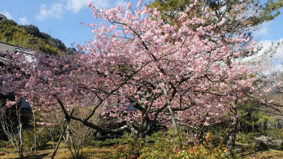 Gyokuhokan