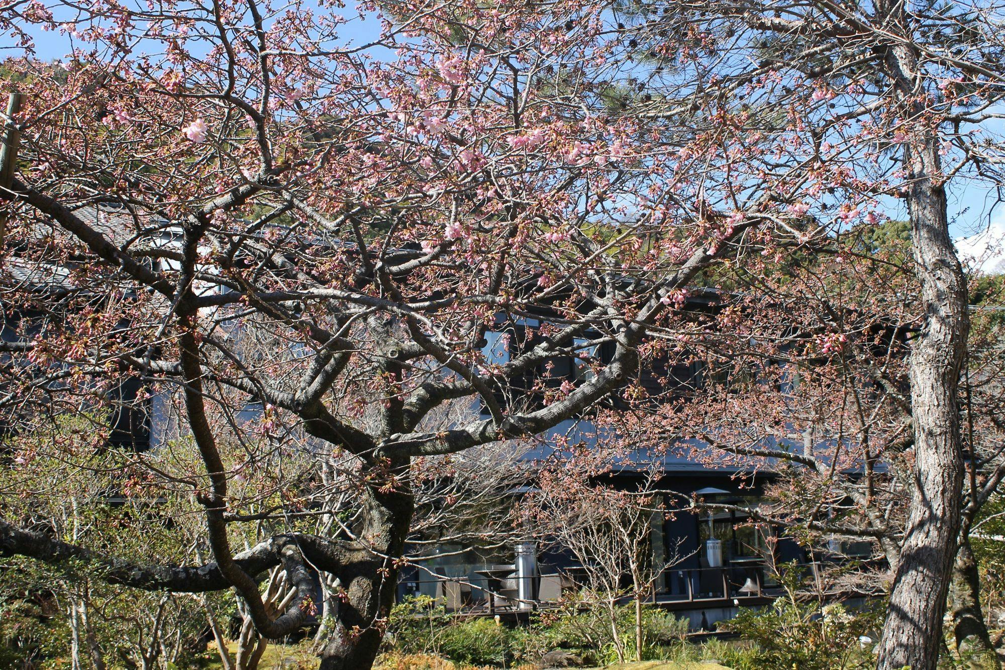 玉峰館