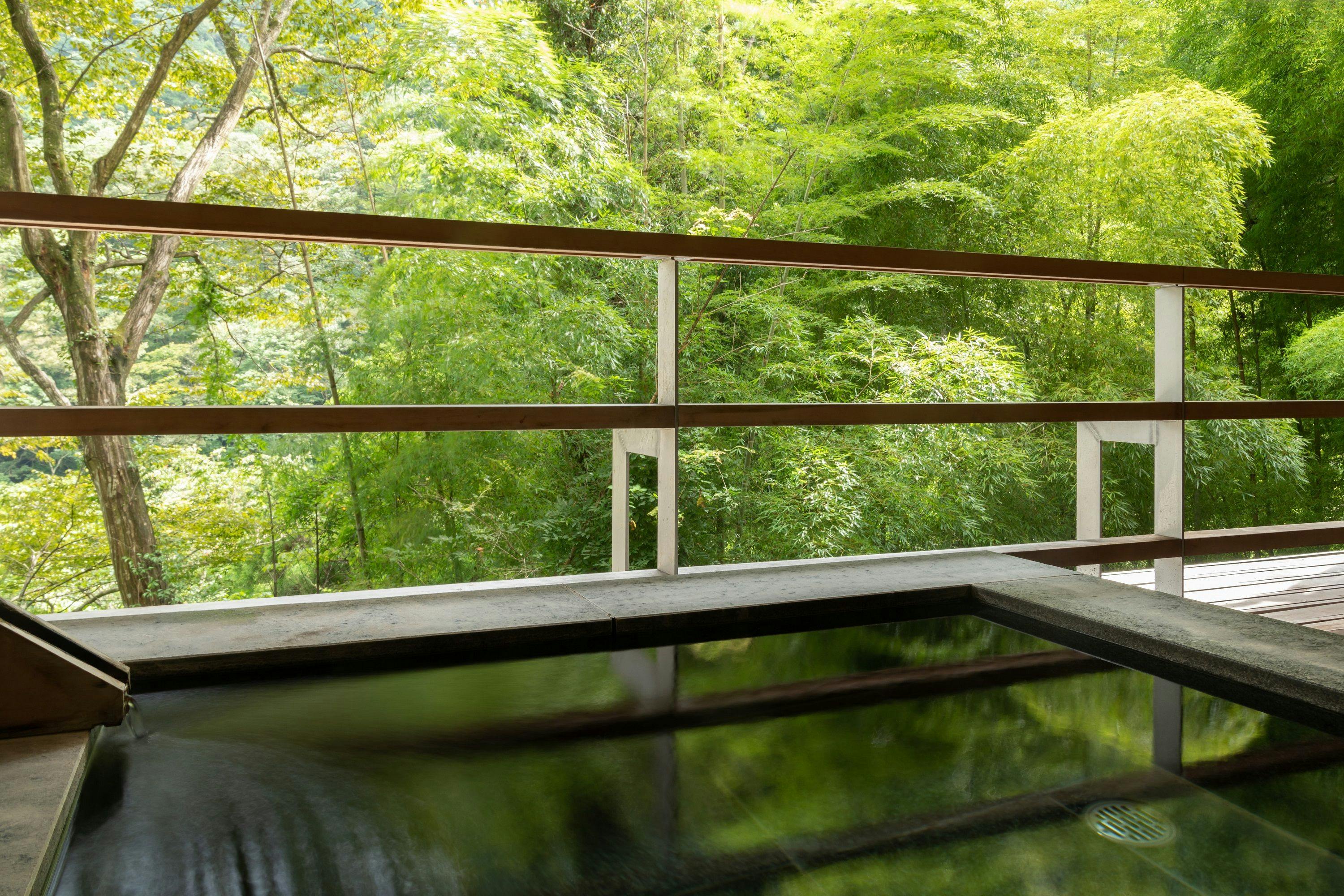 金乃竹　塔ノ澤