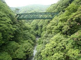 金乃竹　塔ノ澤