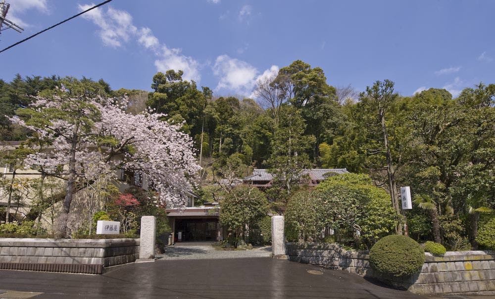 【ภายนอก】ช่วงดอกซากุระบาน