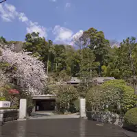 【ภายนอก】ช่วงดอกซากุระบาน