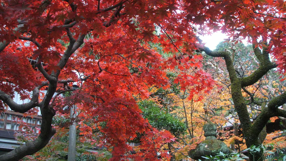 Itoya Inn, Associated with Toson Shimazaki
