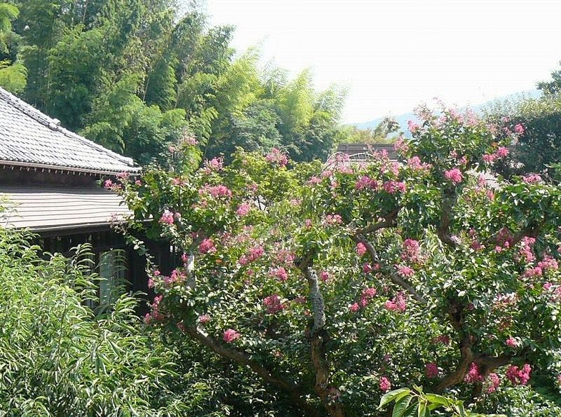 島崎藤村ゆかりの宿　伊藤屋