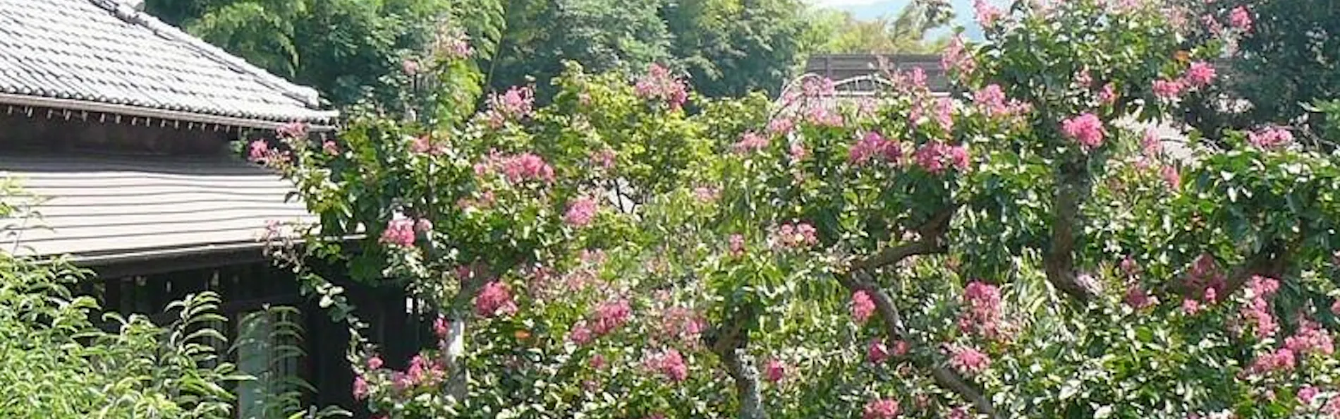 島崎藤村ゆかりの宿 伊藤屋