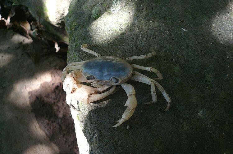 島崎藤村ゆかりの宿　伊藤屋