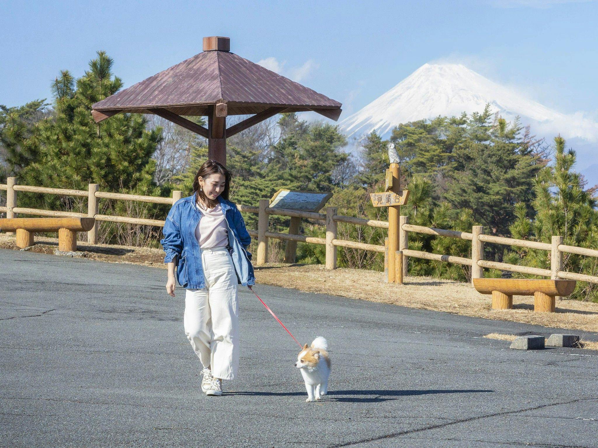ホテルラフォーレ修善寺　山紫水明