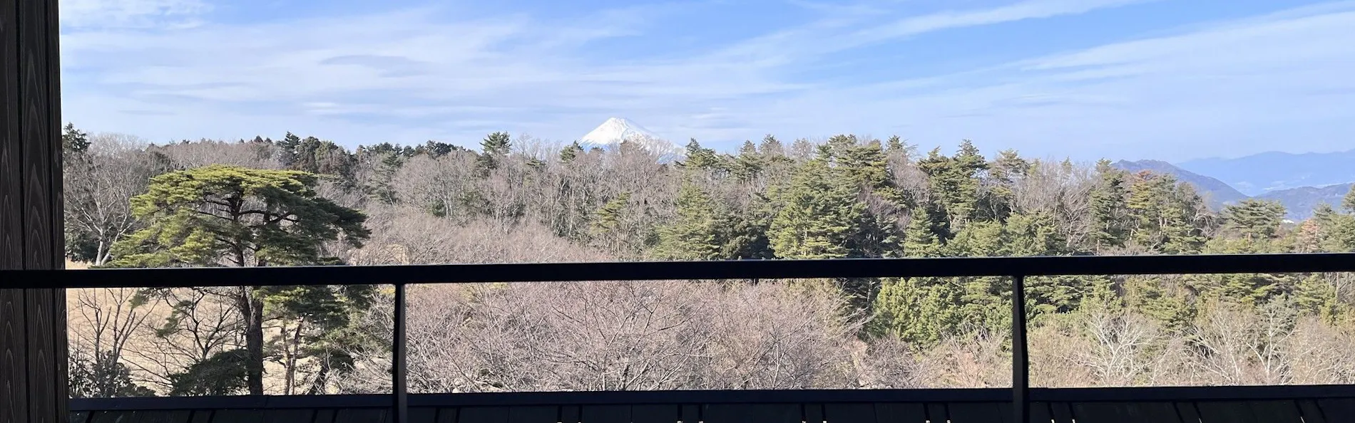 ホテルラフォーレ修善寺 山紫水明
